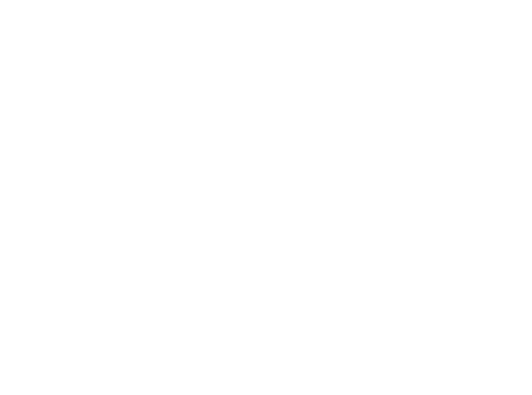 Logo Villa Monceau